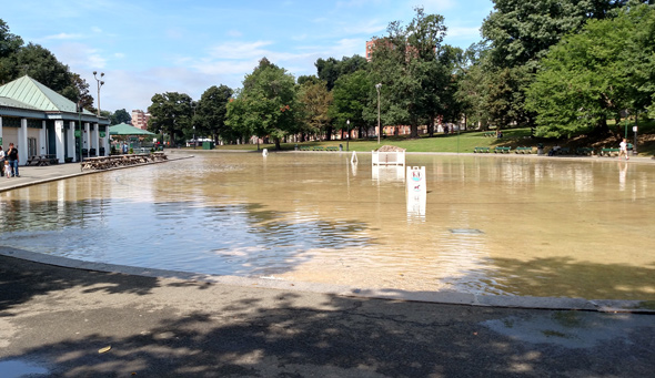 Empty Frog Pond