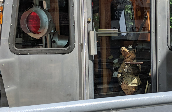 Crocodile in old Blue Line car