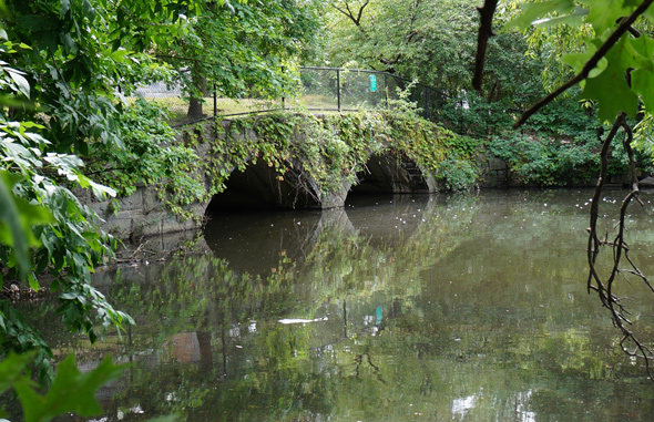 Stony Brook end