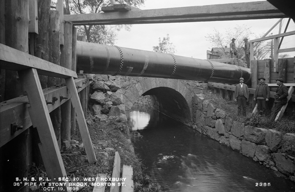 Stony Brook at Morton Street