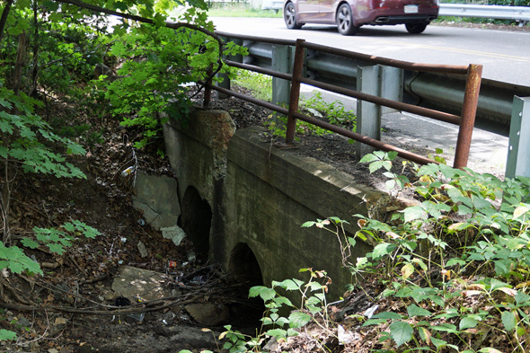 Stony Brook flows underground