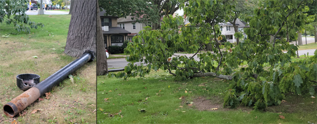 Destroyed vent pipe and tree limb