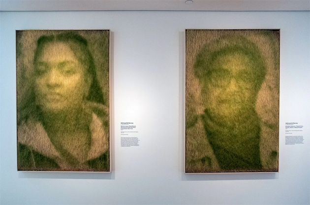 Photographic photosynthesis portraits by Ackroyd & Harvey