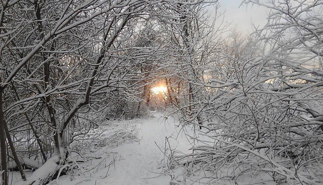 Snow-covered path at Millennium Park